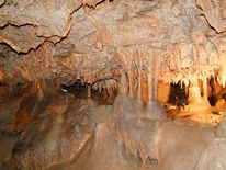 Düsseldorf, Zebra, Fotografie, Stillleben